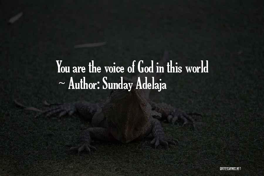 Sunday Adelaja Quotes: You Are The Voice Of God In This World