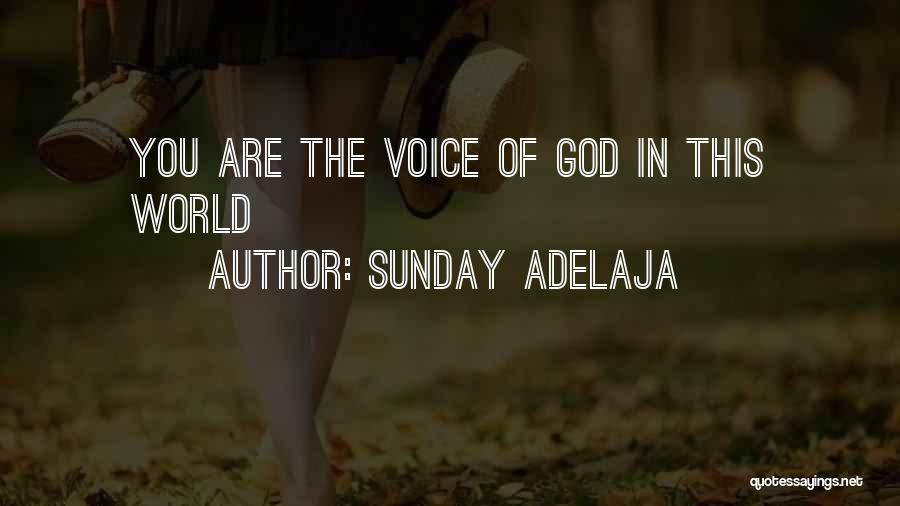 Sunday Adelaja Quotes: You Are The Voice Of God In This World