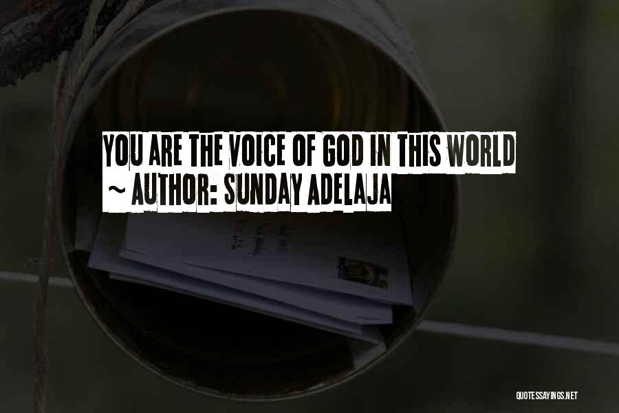 Sunday Adelaja Quotes: You Are The Voice Of God In This World