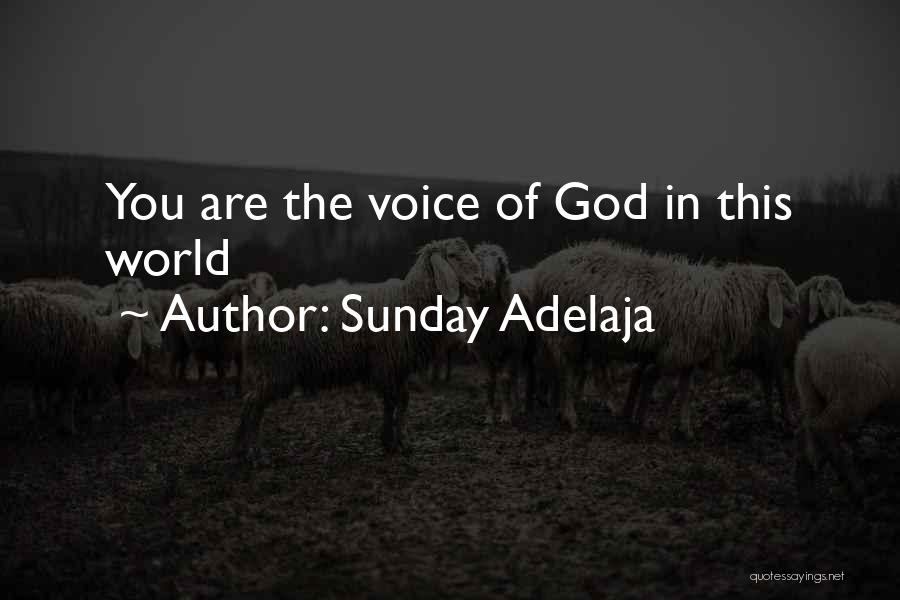 Sunday Adelaja Quotes: You Are The Voice Of God In This World