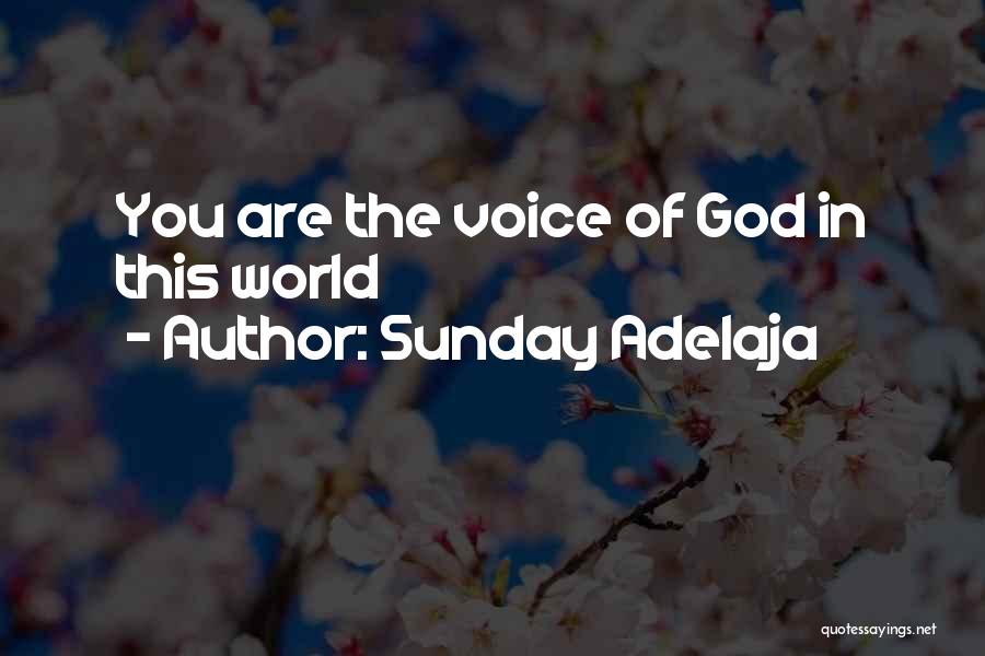 Sunday Adelaja Quotes: You Are The Voice Of God In This World