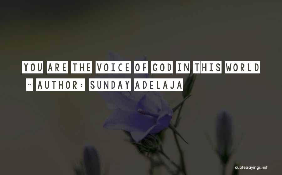 Sunday Adelaja Quotes: You Are The Voice Of God In This World