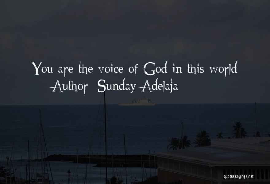 Sunday Adelaja Quotes: You Are The Voice Of God In This World