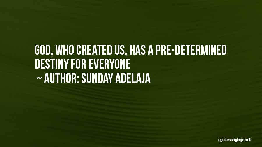 Sunday Adelaja Quotes: God, Who Created Us, Has A Pre-determined Destiny For Everyone