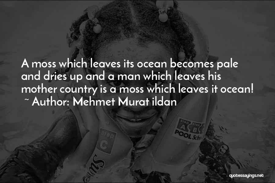 Mehmet Murat Ildan Quotes: A Moss Which Leaves Its Ocean Becomes Pale And Dries Up And A Man Which Leaves His Mother Country Is