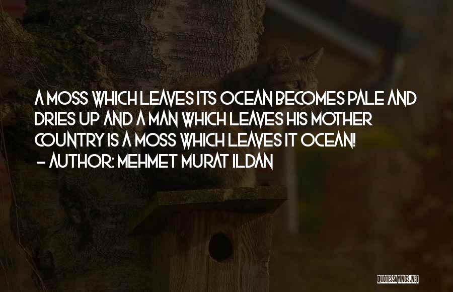 Mehmet Murat Ildan Quotes: A Moss Which Leaves Its Ocean Becomes Pale And Dries Up And A Man Which Leaves His Mother Country Is