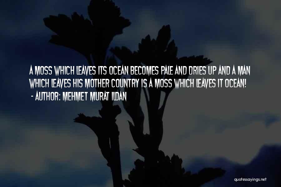 Mehmet Murat Ildan Quotes: A Moss Which Leaves Its Ocean Becomes Pale And Dries Up And A Man Which Leaves His Mother Country Is