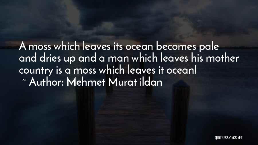 Mehmet Murat Ildan Quotes: A Moss Which Leaves Its Ocean Becomes Pale And Dries Up And A Man Which Leaves His Mother Country Is