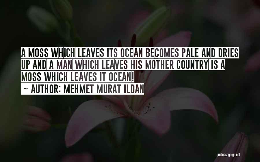 Mehmet Murat Ildan Quotes: A Moss Which Leaves Its Ocean Becomes Pale And Dries Up And A Man Which Leaves His Mother Country Is