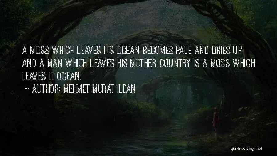 Mehmet Murat Ildan Quotes: A Moss Which Leaves Its Ocean Becomes Pale And Dries Up And A Man Which Leaves His Mother Country Is