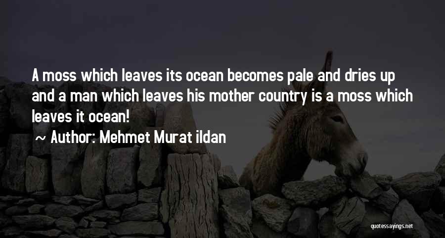 Mehmet Murat Ildan Quotes: A Moss Which Leaves Its Ocean Becomes Pale And Dries Up And A Man Which Leaves His Mother Country Is