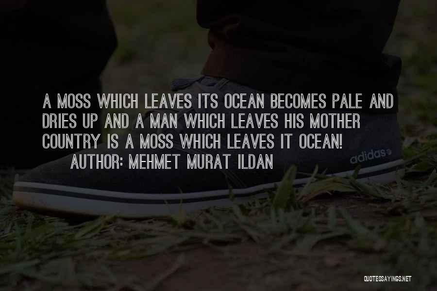 Mehmet Murat Ildan Quotes: A Moss Which Leaves Its Ocean Becomes Pale And Dries Up And A Man Which Leaves His Mother Country Is