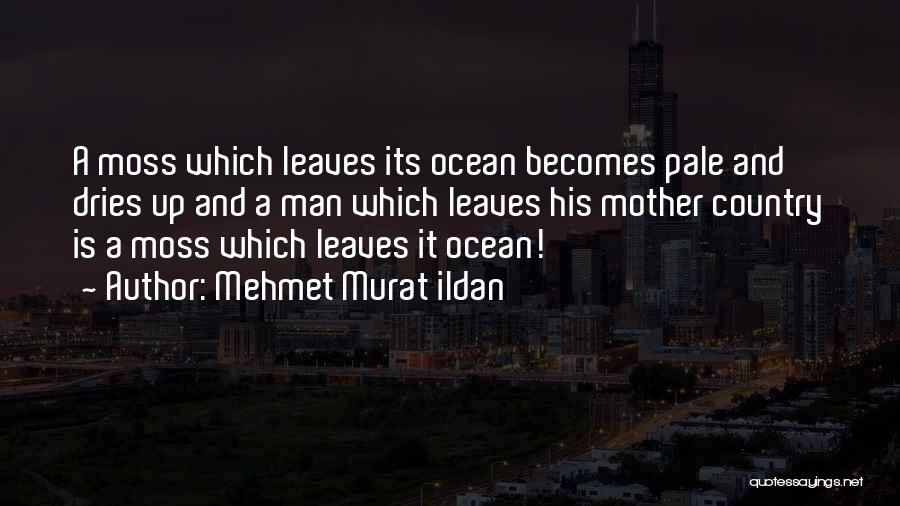 Mehmet Murat Ildan Quotes: A Moss Which Leaves Its Ocean Becomes Pale And Dries Up And A Man Which Leaves His Mother Country Is
