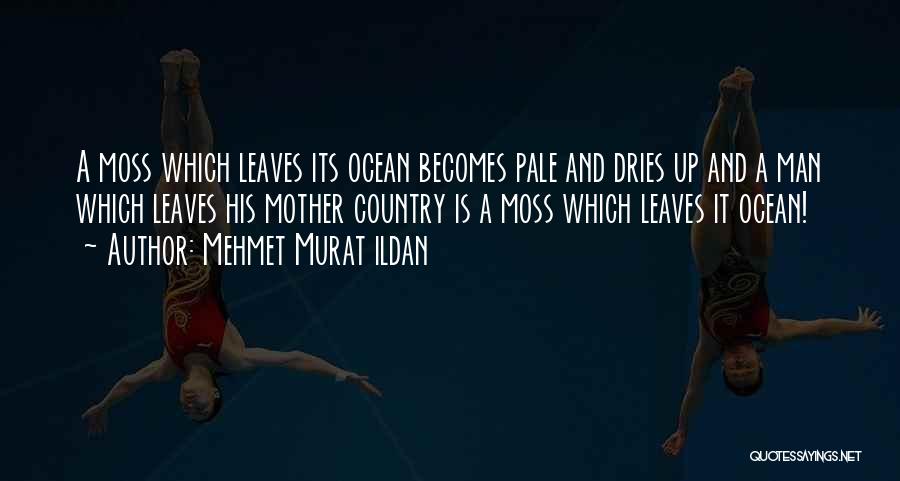 Mehmet Murat Ildan Quotes: A Moss Which Leaves Its Ocean Becomes Pale And Dries Up And A Man Which Leaves His Mother Country Is