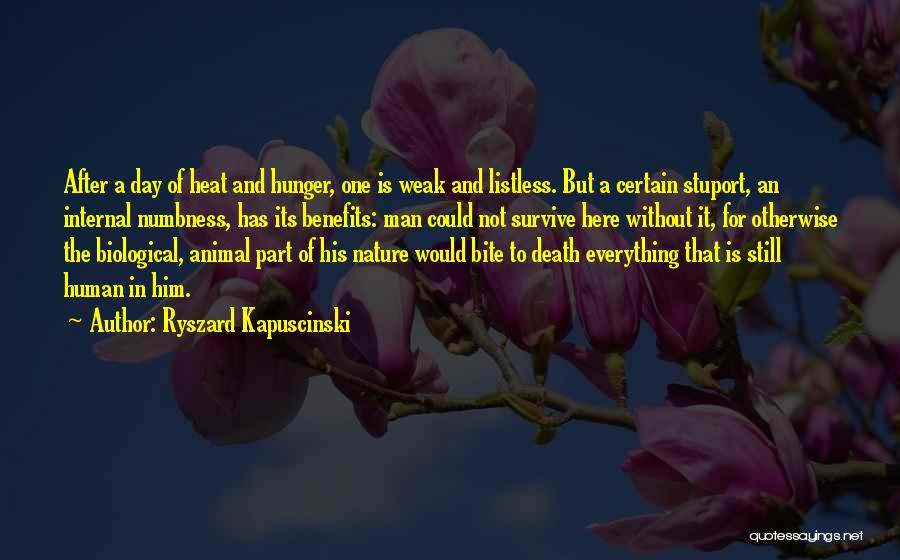 Ryszard Kapuscinski Quotes: After A Day Of Heat And Hunger, One Is Weak And Listless. But A Certain Stuport, An Internal Numbness, Has
