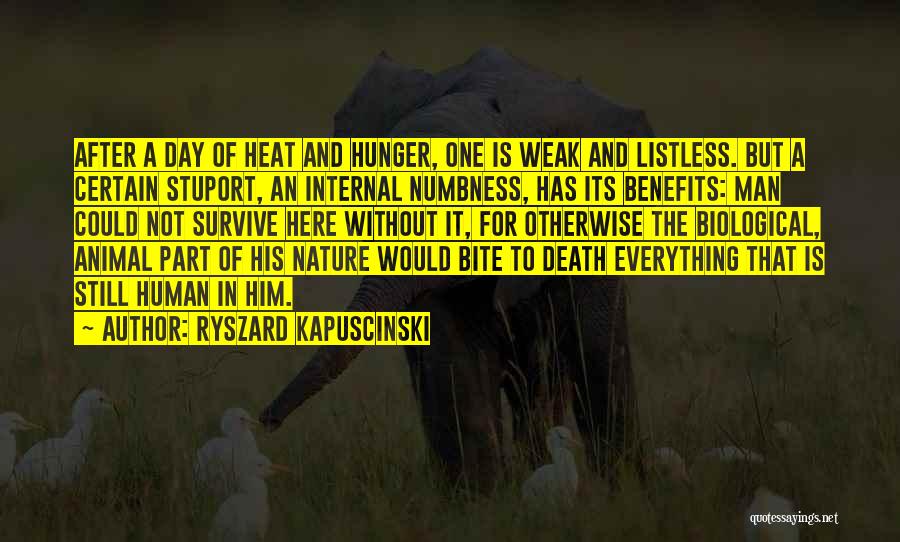 Ryszard Kapuscinski Quotes: After A Day Of Heat And Hunger, One Is Weak And Listless. But A Certain Stuport, An Internal Numbness, Has