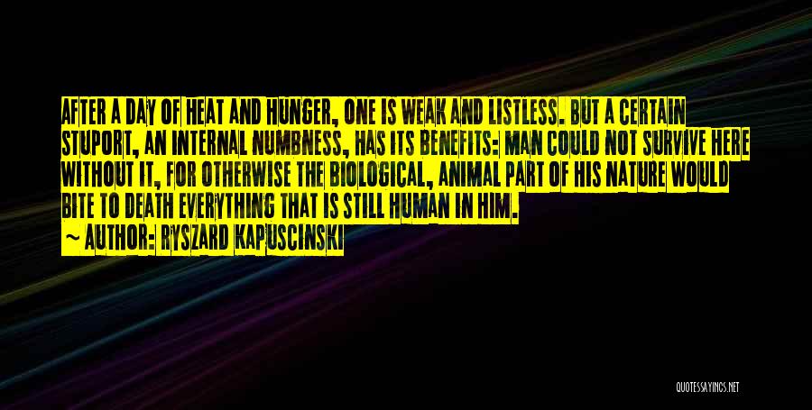 Ryszard Kapuscinski Quotes: After A Day Of Heat And Hunger, One Is Weak And Listless. But A Certain Stuport, An Internal Numbness, Has