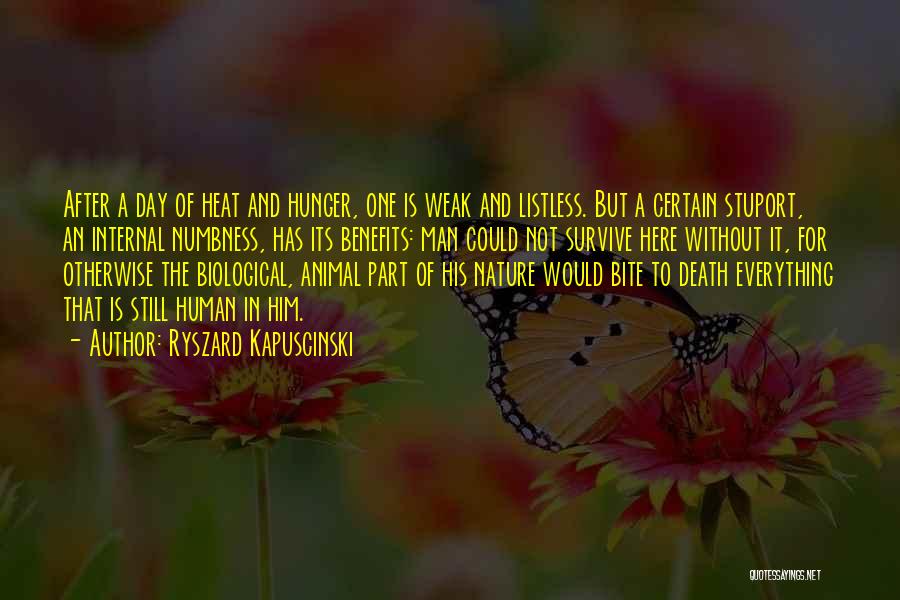 Ryszard Kapuscinski Quotes: After A Day Of Heat And Hunger, One Is Weak And Listless. But A Certain Stuport, An Internal Numbness, Has