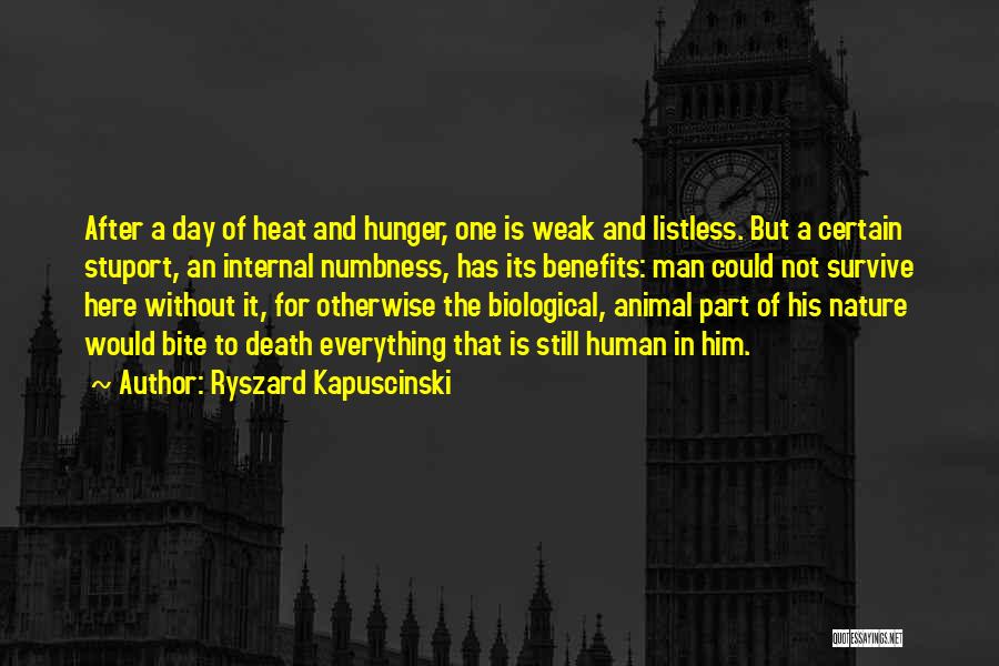 Ryszard Kapuscinski Quotes: After A Day Of Heat And Hunger, One Is Weak And Listless. But A Certain Stuport, An Internal Numbness, Has