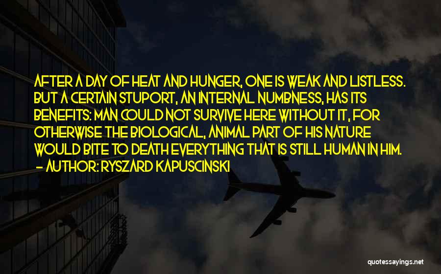 Ryszard Kapuscinski Quotes: After A Day Of Heat And Hunger, One Is Weak And Listless. But A Certain Stuport, An Internal Numbness, Has