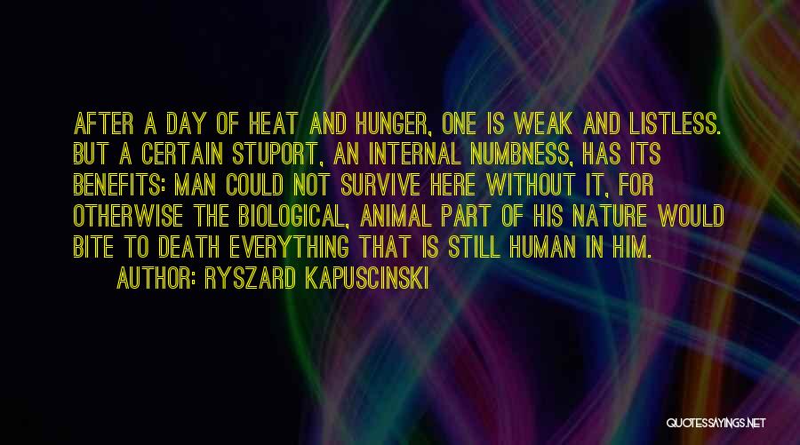 Ryszard Kapuscinski Quotes: After A Day Of Heat And Hunger, One Is Weak And Listless. But A Certain Stuport, An Internal Numbness, Has