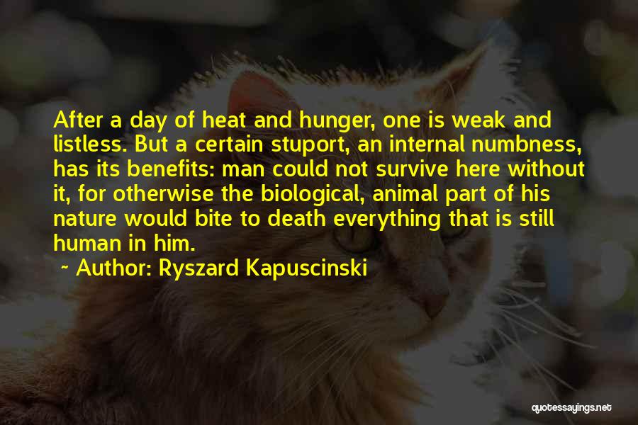 Ryszard Kapuscinski Quotes: After A Day Of Heat And Hunger, One Is Weak And Listless. But A Certain Stuport, An Internal Numbness, Has