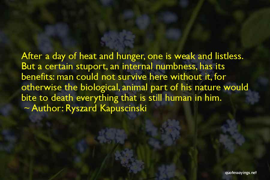 Ryszard Kapuscinski Quotes: After A Day Of Heat And Hunger, One Is Weak And Listless. But A Certain Stuport, An Internal Numbness, Has