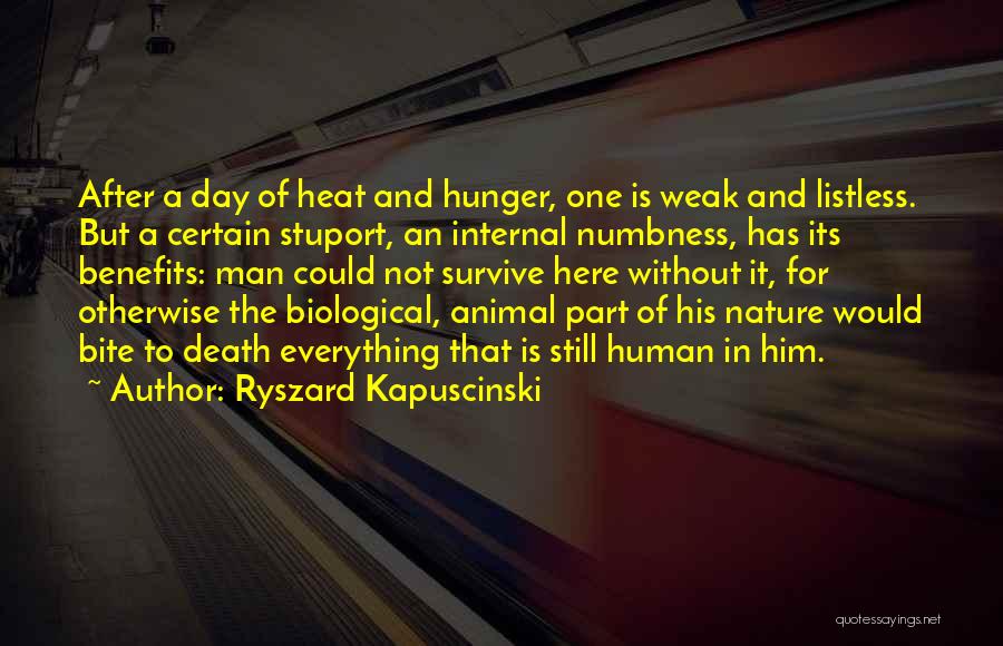 Ryszard Kapuscinski Quotes: After A Day Of Heat And Hunger, One Is Weak And Listless. But A Certain Stuport, An Internal Numbness, Has