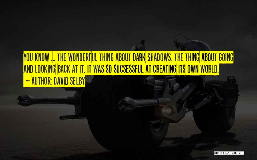 David Selby Quotes: You Know ... The Wonderful Thing About Dark Shadows, The Thing About Going And Looking Back At It. It Was