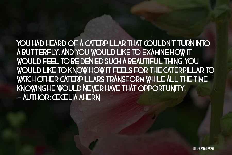 Cecelia Ahern Quotes: You Had Heard Of A Caterpillar That Couldn't Turn Into A Butterfly. And You Would Like To Examine How It