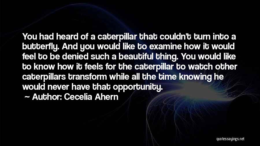 Cecelia Ahern Quotes: You Had Heard Of A Caterpillar That Couldn't Turn Into A Butterfly. And You Would Like To Examine How It