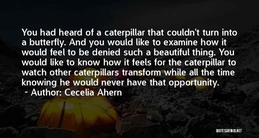 Cecelia Ahern Quotes: You Had Heard Of A Caterpillar That Couldn't Turn Into A Butterfly. And You Would Like To Examine How It