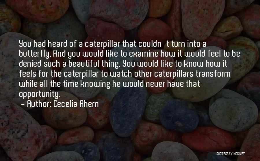 Cecelia Ahern Quotes: You Had Heard Of A Caterpillar That Couldn't Turn Into A Butterfly. And You Would Like To Examine How It