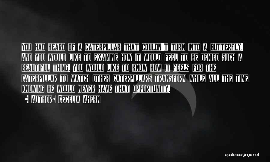 Cecelia Ahern Quotes: You Had Heard Of A Caterpillar That Couldn't Turn Into A Butterfly. And You Would Like To Examine How It