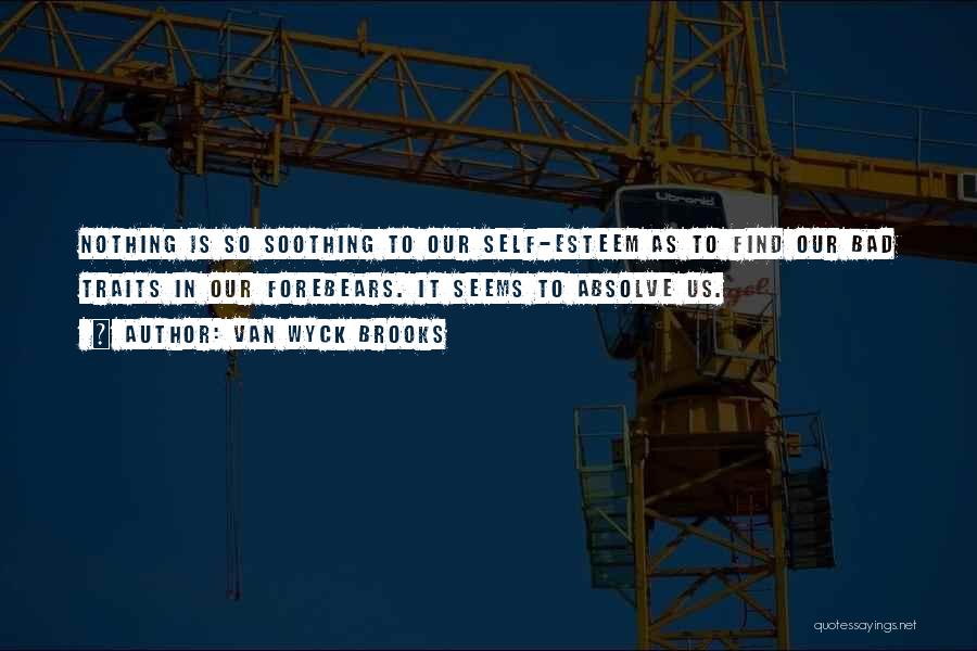 Van Wyck Brooks Quotes: Nothing Is So Soothing To Our Self-esteem As To Find Our Bad Traits In Our Forebears. It Seems To Absolve