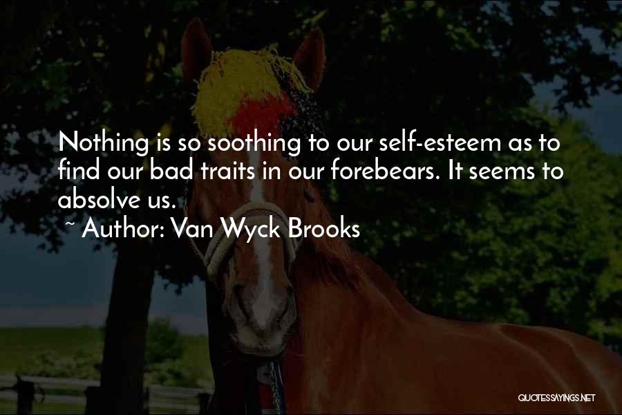 Van Wyck Brooks Quotes: Nothing Is So Soothing To Our Self-esteem As To Find Our Bad Traits In Our Forebears. It Seems To Absolve