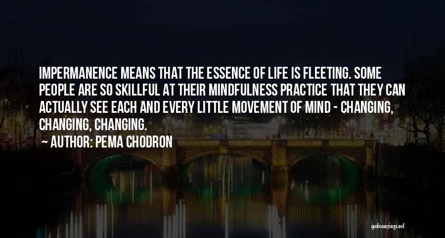 Pema Chodron Quotes: Impermanence Means That The Essence Of Life Is Fleeting. Some People Are So Skillful At Their Mindfulness Practice That They