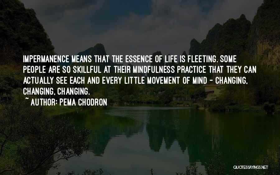 Pema Chodron Quotes: Impermanence Means That The Essence Of Life Is Fleeting. Some People Are So Skillful At Their Mindfulness Practice That They