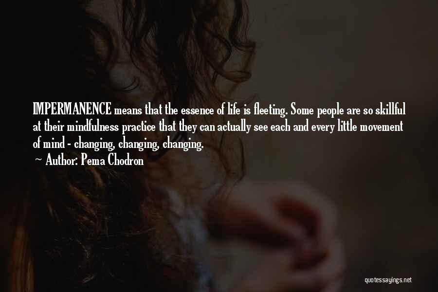 Pema Chodron Quotes: Impermanence Means That The Essence Of Life Is Fleeting. Some People Are So Skillful At Their Mindfulness Practice That They