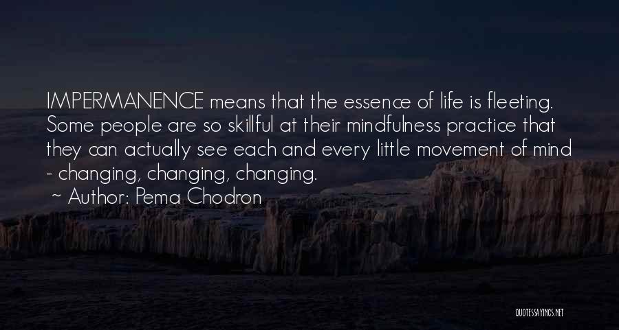 Pema Chodron Quotes: Impermanence Means That The Essence Of Life Is Fleeting. Some People Are So Skillful At Their Mindfulness Practice That They