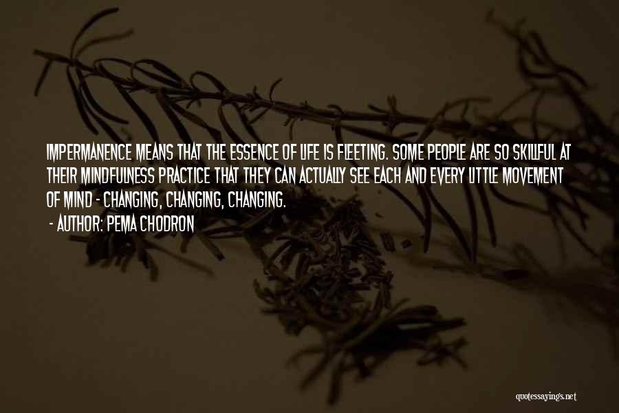 Pema Chodron Quotes: Impermanence Means That The Essence Of Life Is Fleeting. Some People Are So Skillful At Their Mindfulness Practice That They