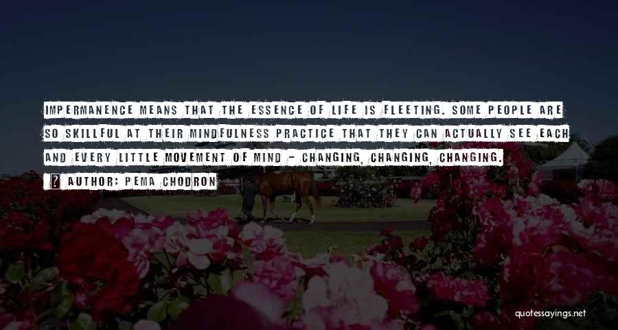 Pema Chodron Quotes: Impermanence Means That The Essence Of Life Is Fleeting. Some People Are So Skillful At Their Mindfulness Practice That They