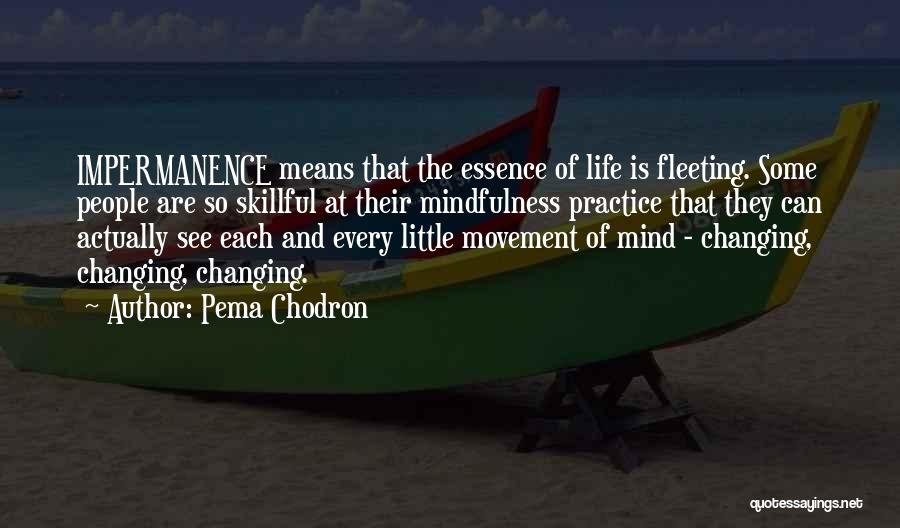 Pema Chodron Quotes: Impermanence Means That The Essence Of Life Is Fleeting. Some People Are So Skillful At Their Mindfulness Practice That They