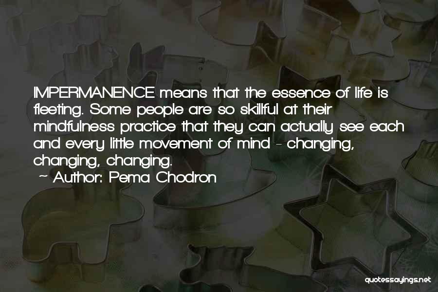 Pema Chodron Quotes: Impermanence Means That The Essence Of Life Is Fleeting. Some People Are So Skillful At Their Mindfulness Practice That They