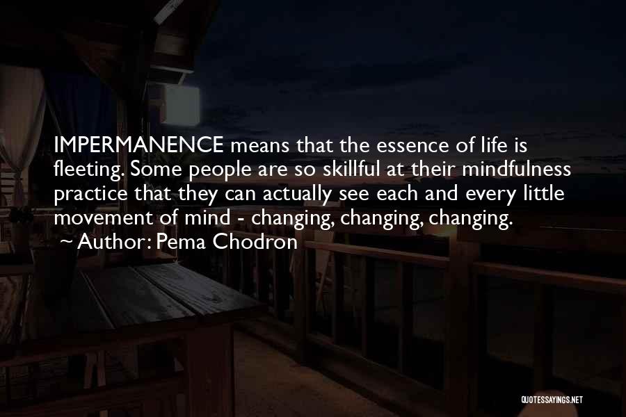 Pema Chodron Quotes: Impermanence Means That The Essence Of Life Is Fleeting. Some People Are So Skillful At Their Mindfulness Practice That They
