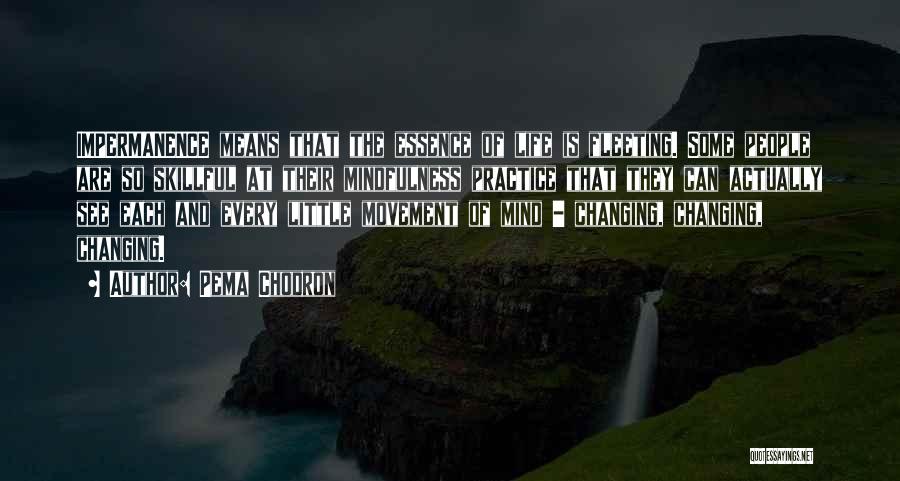 Pema Chodron Quotes: Impermanence Means That The Essence Of Life Is Fleeting. Some People Are So Skillful At Their Mindfulness Practice That They