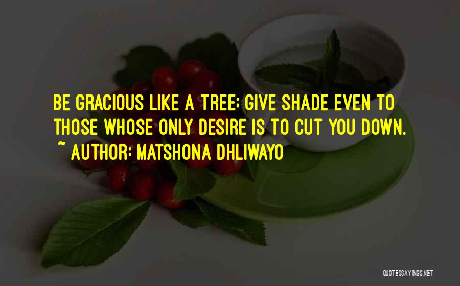 Matshona Dhliwayo Quotes: Be Gracious Like A Tree; Give Shade Even To Those Whose Only Desire Is To Cut You Down.
