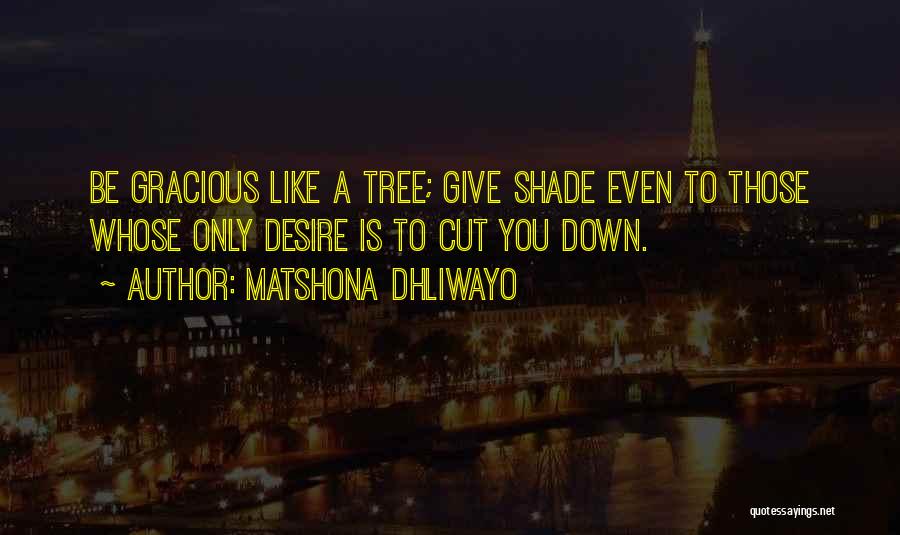 Matshona Dhliwayo Quotes: Be Gracious Like A Tree; Give Shade Even To Those Whose Only Desire Is To Cut You Down.