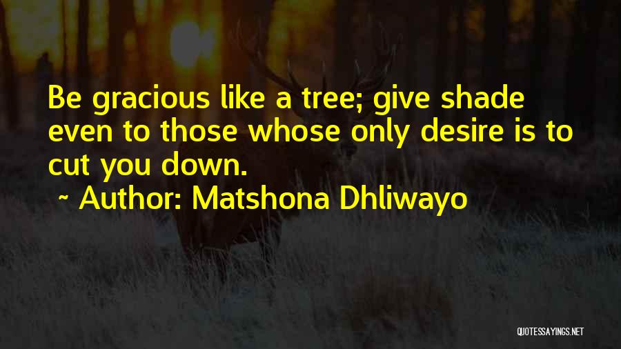 Matshona Dhliwayo Quotes: Be Gracious Like A Tree; Give Shade Even To Those Whose Only Desire Is To Cut You Down.