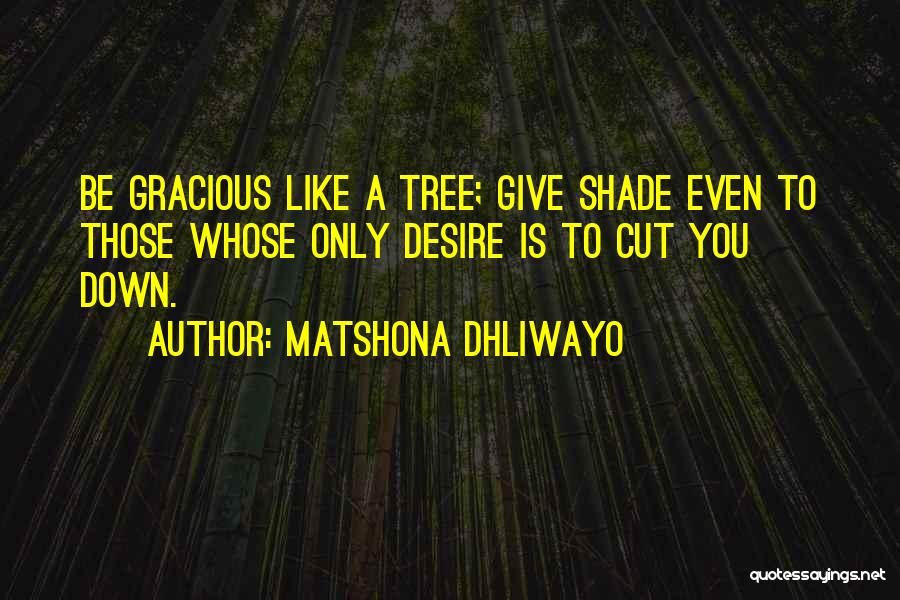 Matshona Dhliwayo Quotes: Be Gracious Like A Tree; Give Shade Even To Those Whose Only Desire Is To Cut You Down.